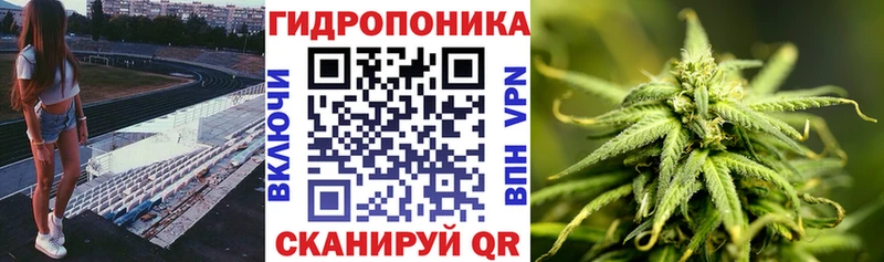 Виды наркоты Сокол ГАШИШ Героин МЕФ СК Каннабис КОКАИН