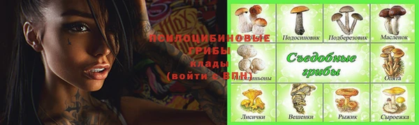 тгк Балахна