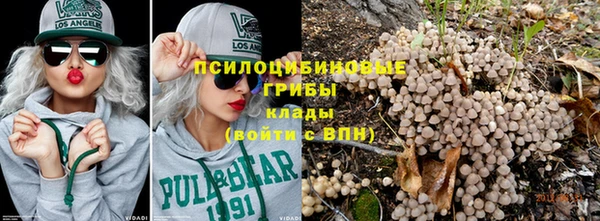 тгк Балахна