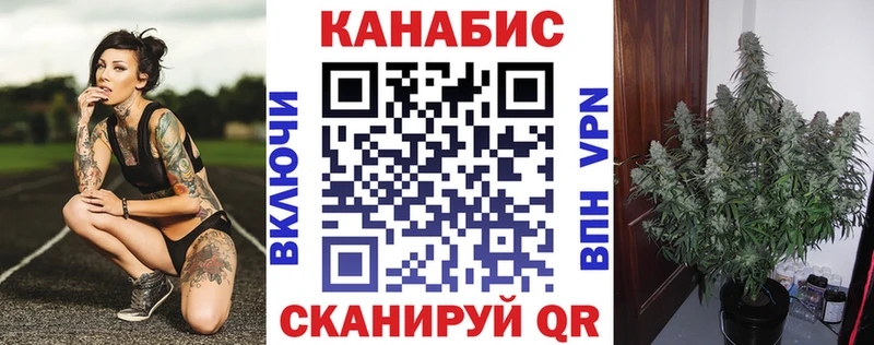 где купить наркоту mega ONION Конопля White Widow Сокол